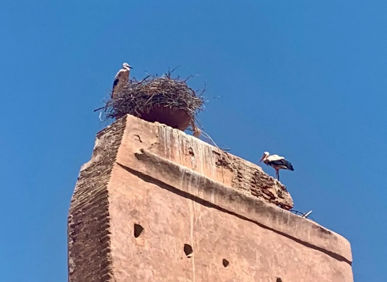 Riad Dar Najwa Marrakesh Holiday home